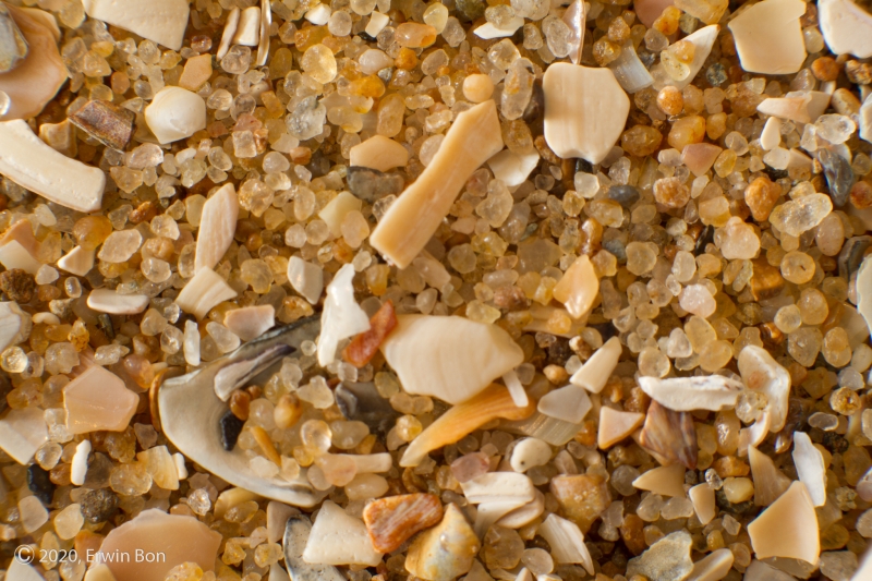 Nederland, Zuid-Holland, Wassenaar